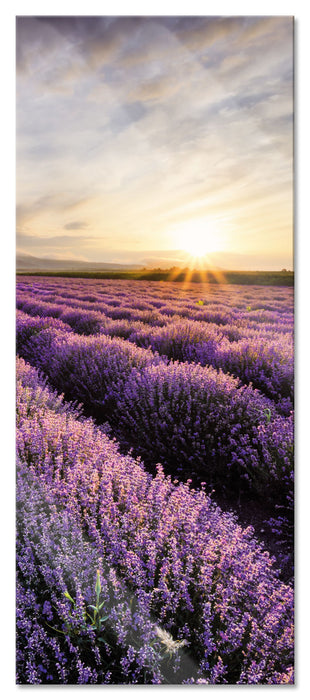 Pixxprint Traumhafte Lavendel Provence, Glasbild Panorama
