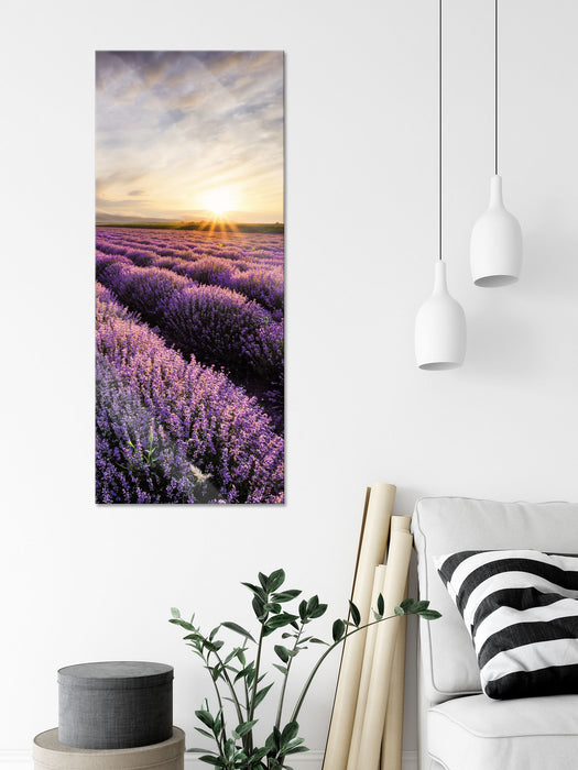 Traumhafte Lavendel Provence, Glasbild Panorama