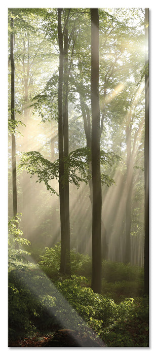 Pixxprint Sonnenstrahlen im Wald, Glasbild Panorama