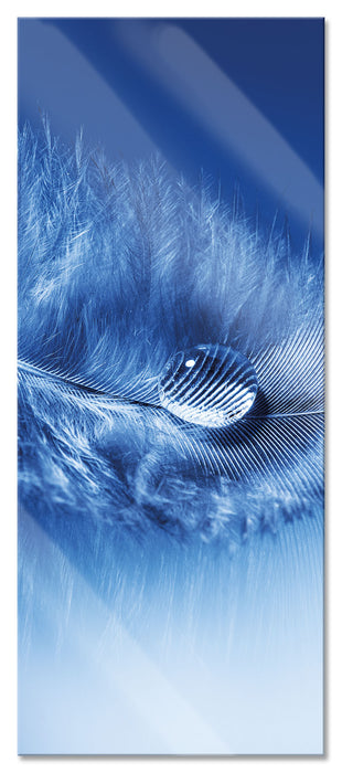 Pixxprint Wassertropfen auf Feder, Glasbild Panorama