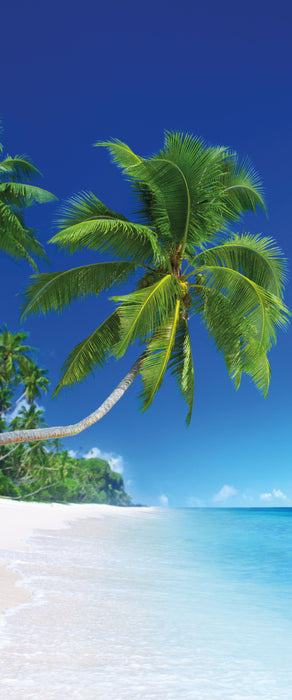 Palmen über dem Meer, Glasbild Panorama