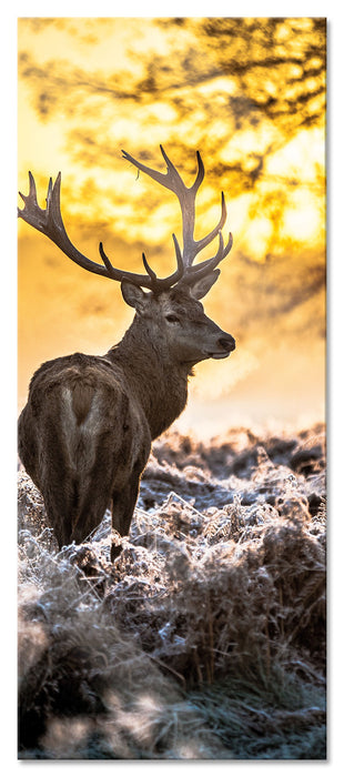 Pixxprint Hirsch im Wald, Glasbild Panorama