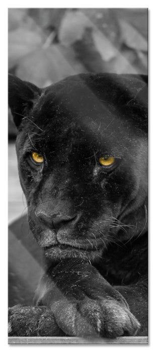 Pixxprint schwarzer Panther, Glasbild Panorama