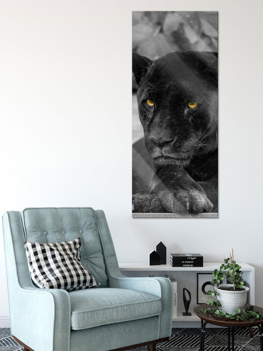 schwarzer Panther, Glasbild Panorama