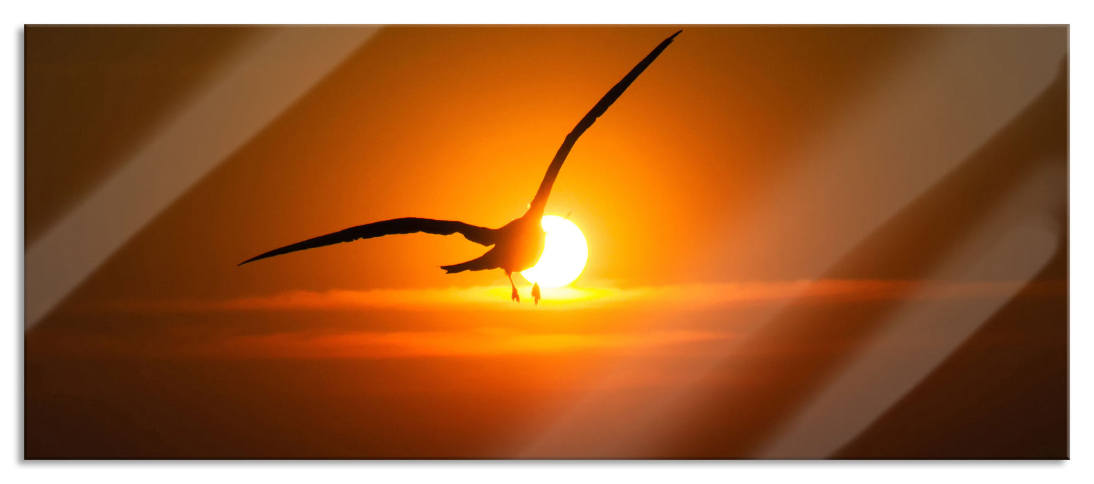 Pixxprint Möwe fliegt in den Sonnenuntergang, Glasbild Panorama