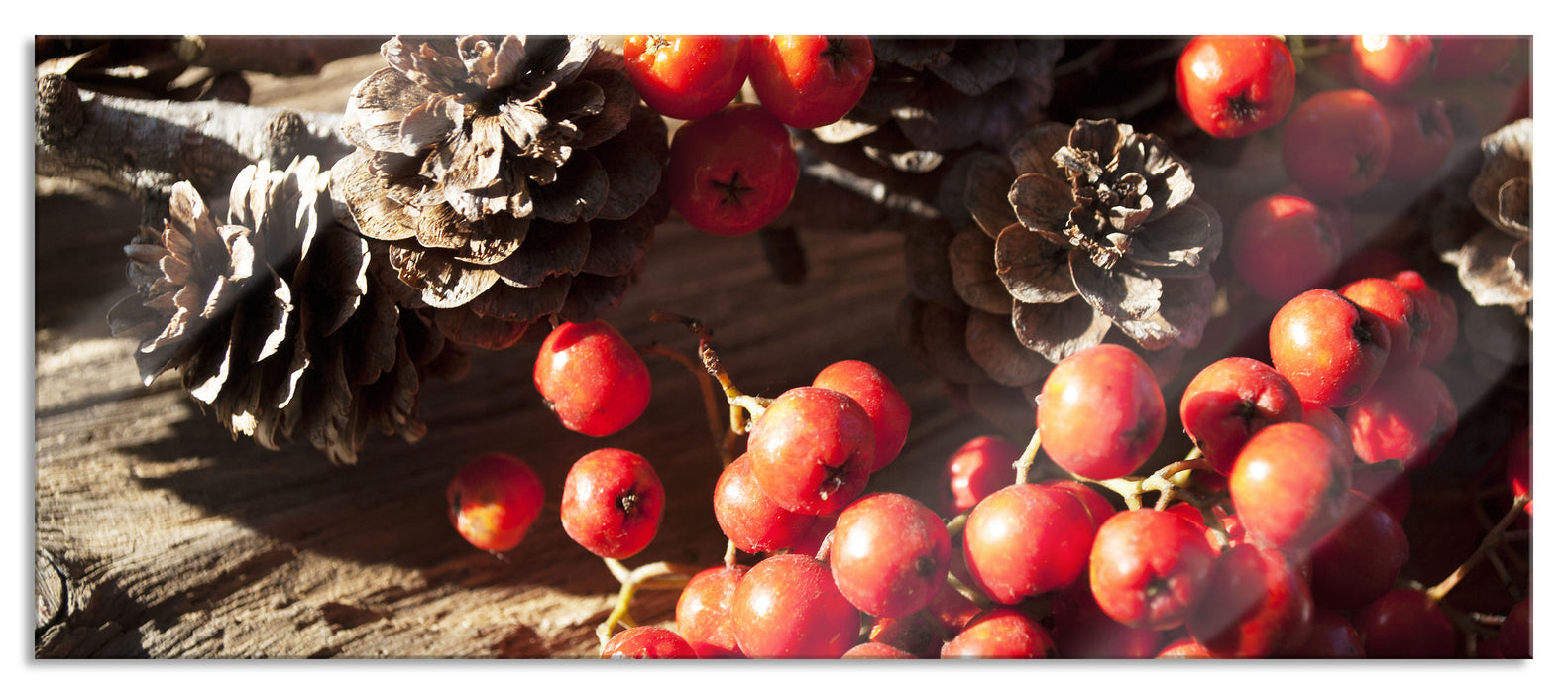 Pixxprint Vogelbeeren und Tannenzapfen, Glasbild Panorama