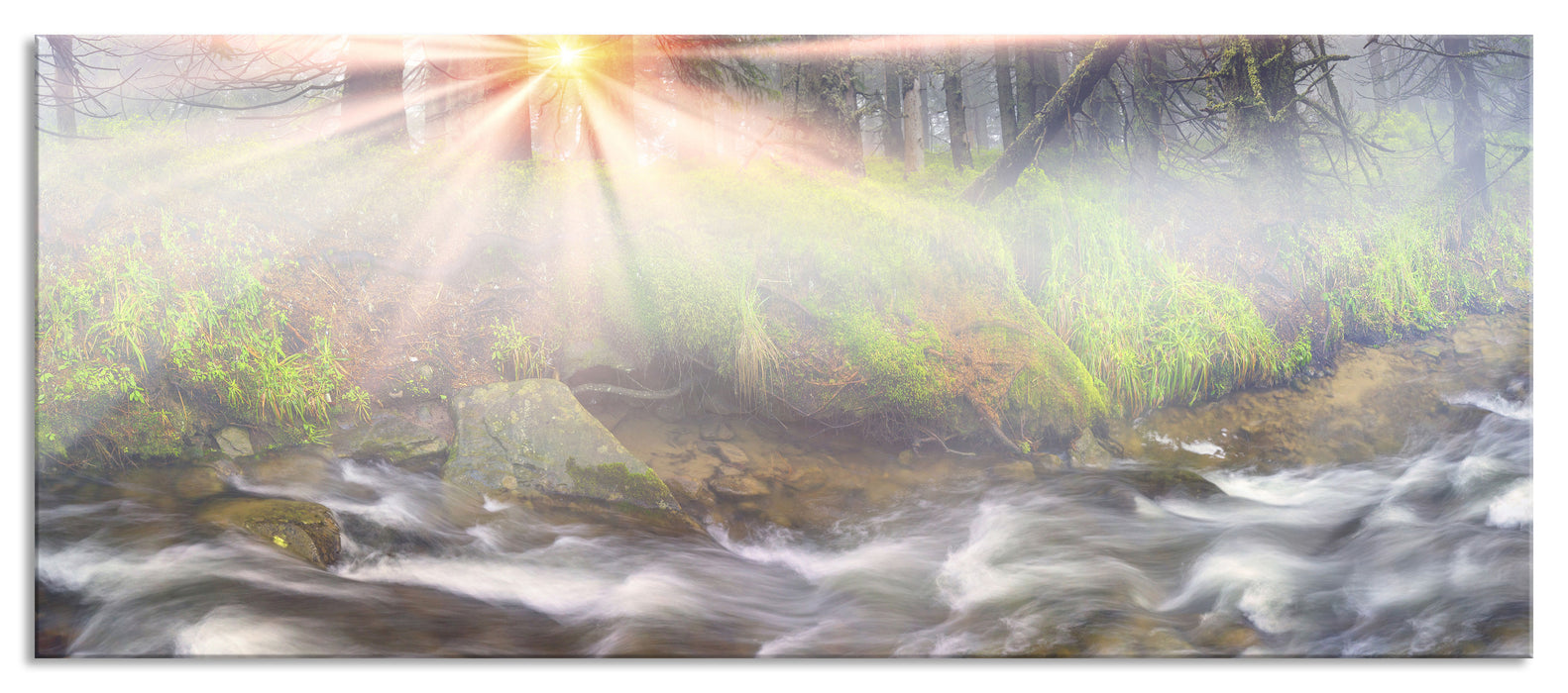 Pixxprint Nebeldickicht im Wald, Glasbild Panorama