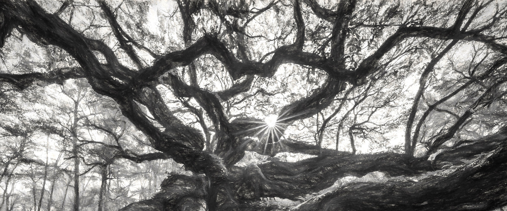 Baum, Glasbild Panorama