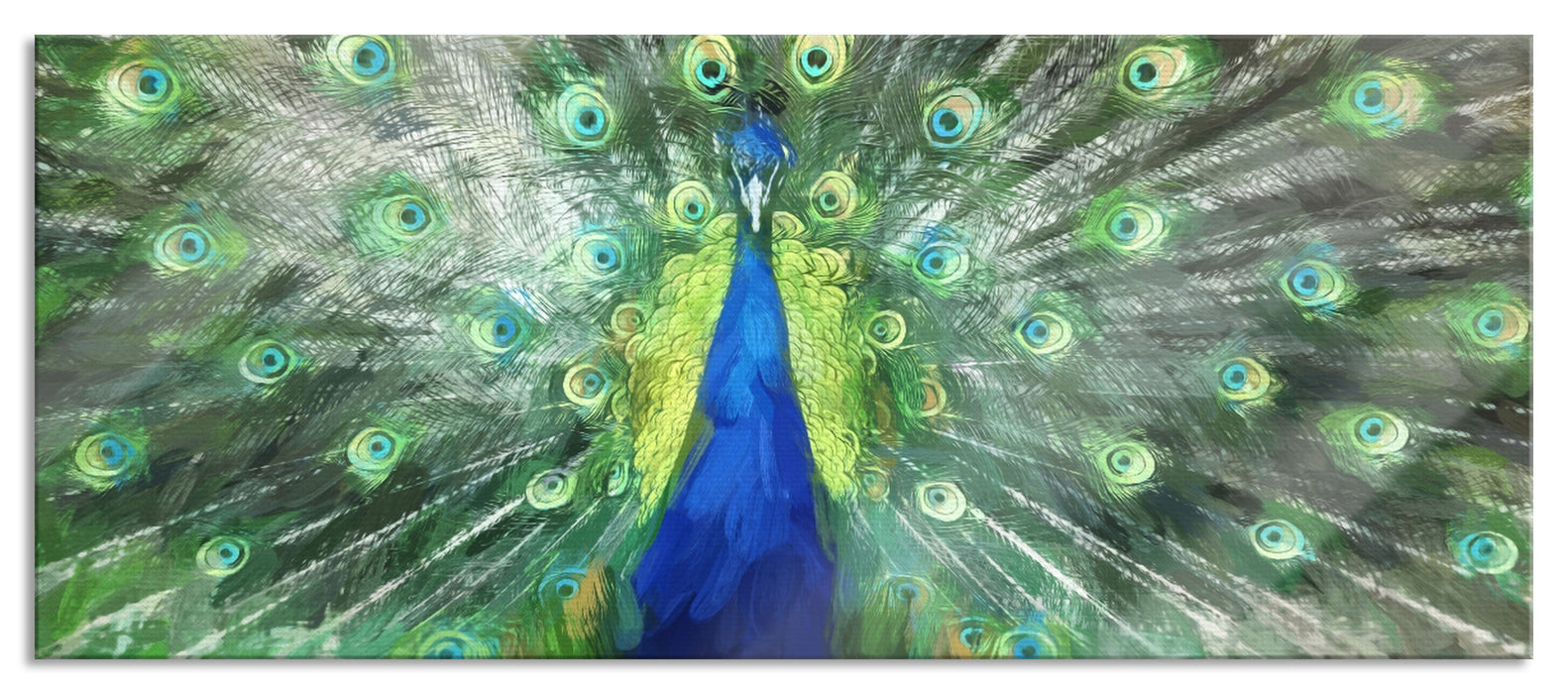 Pixxprint Pfau mit seinem Gefieder, Glasbild Panorama