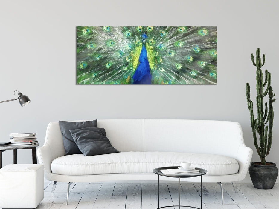 Pfau mit seinem Gefieder, Glasbild Panorama