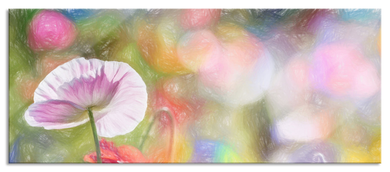 Pixxprint Kalifornischer Mohn im Frühling, Glasbild Panorama