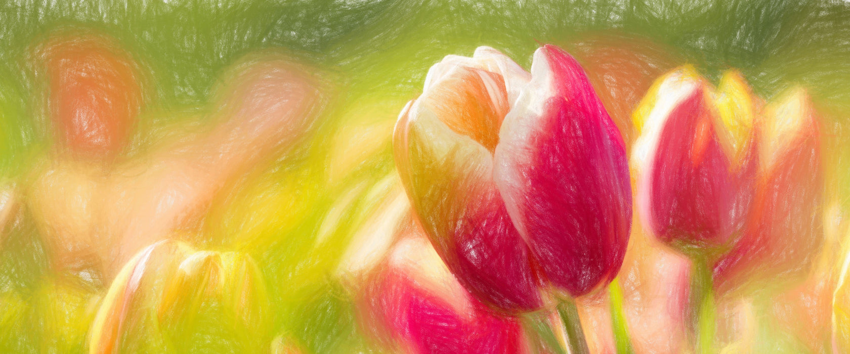 Blühende Tulpen, Glasbild Panorama