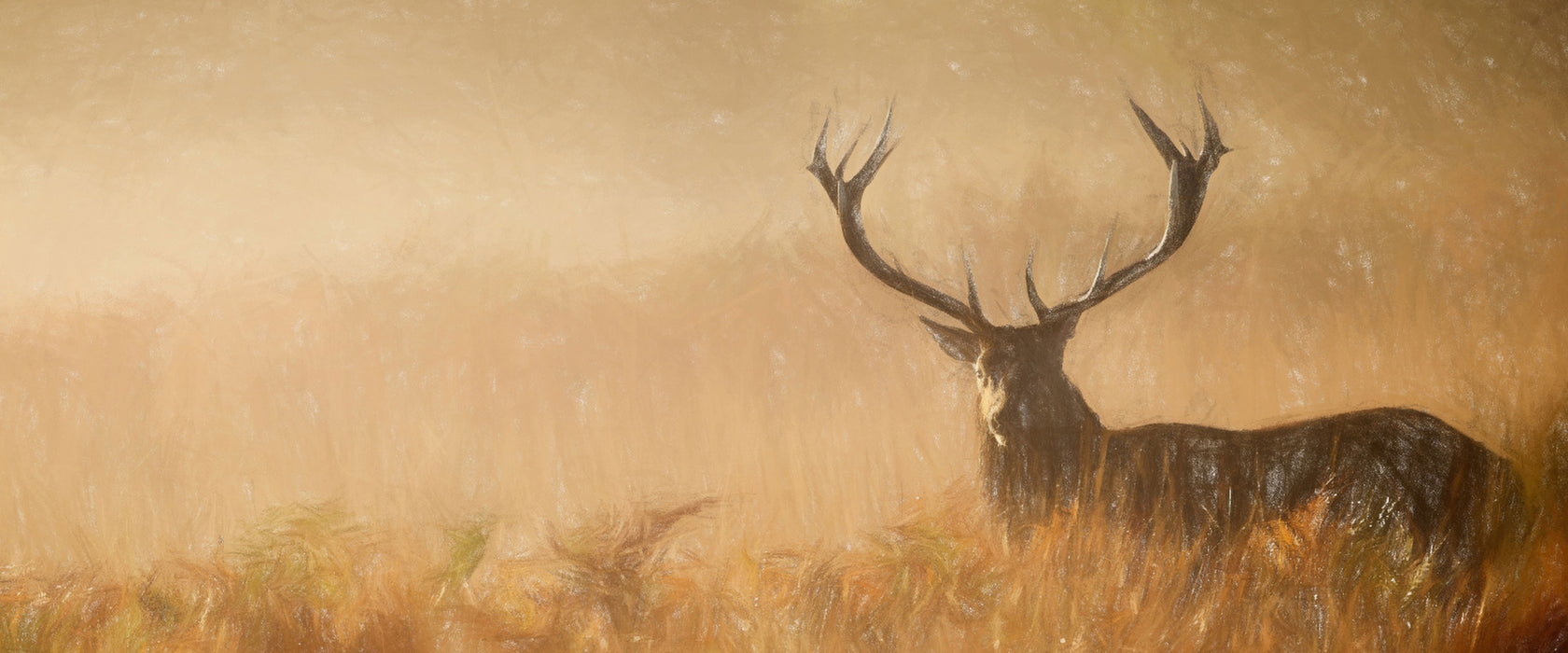 Rotwild Hirsch im Nebel , Glasbild Panorama