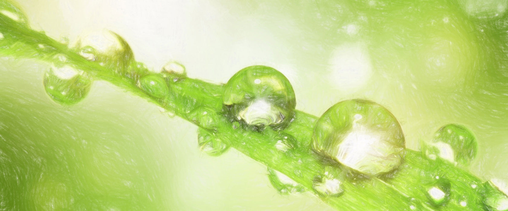 Wassertropfen auf Grashalm, Glasbild Panorama