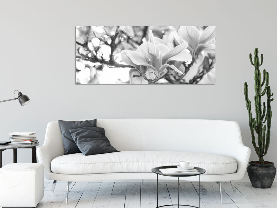 Magnolienblüten im Frühling, Glasbild Panorama