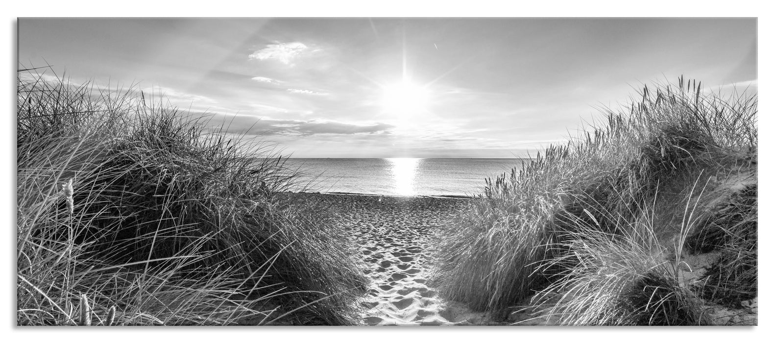 Pixxprint der Weg ins Meer Kunst B&W, Glasbild Panorama