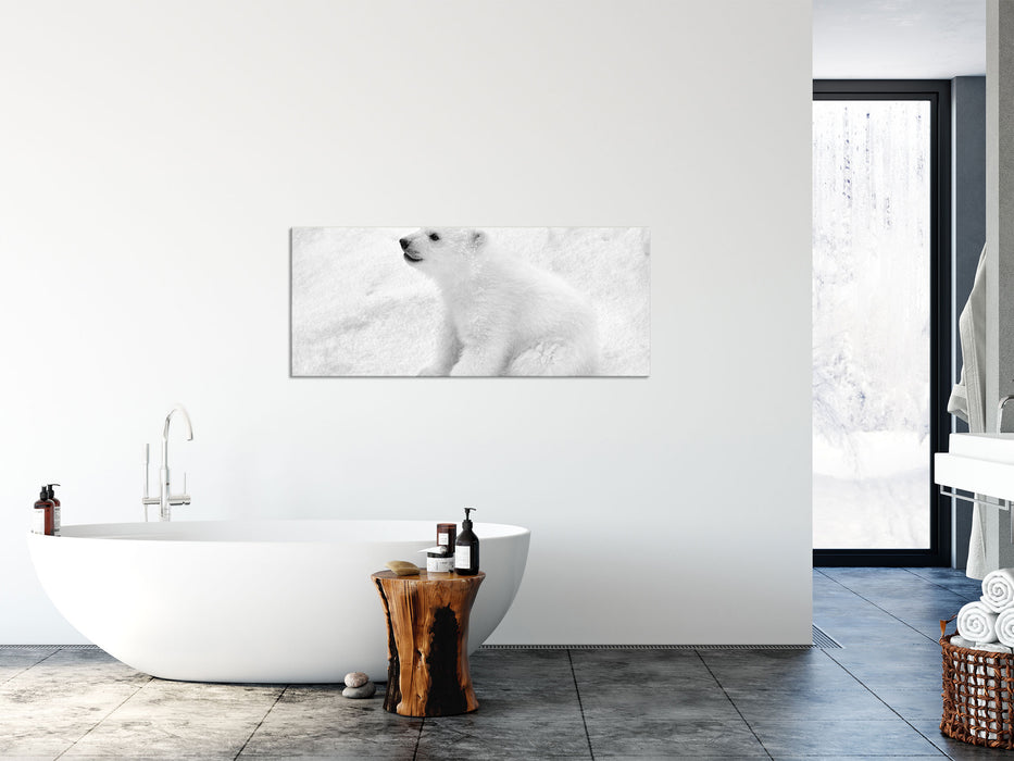 Eisbär Baby, Glasbild Panorama