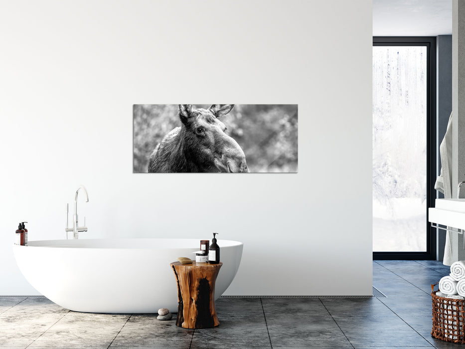 Elch im Wald Kunst B&W, Glasbild Panorama