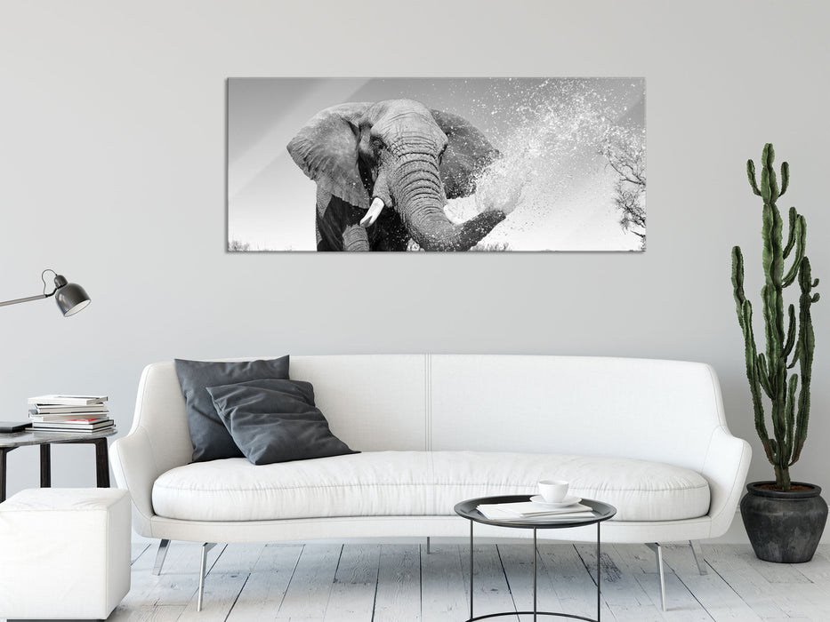 Elefant spritzt mit Wasser, Glasbild Panorama