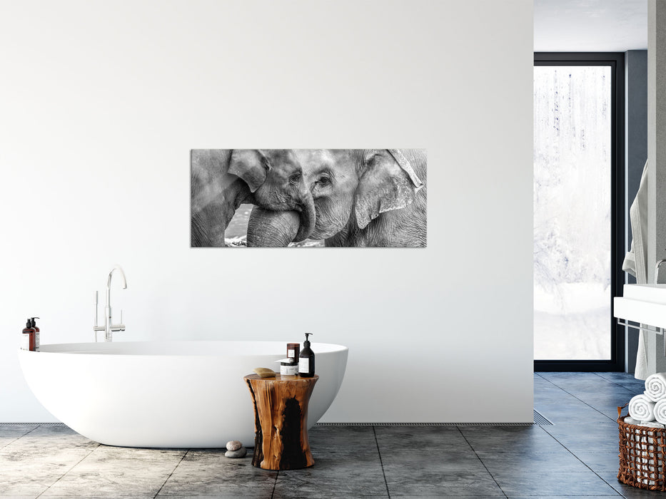 Elefantenmutter mit Kalb B&W, Glasbild Panorama