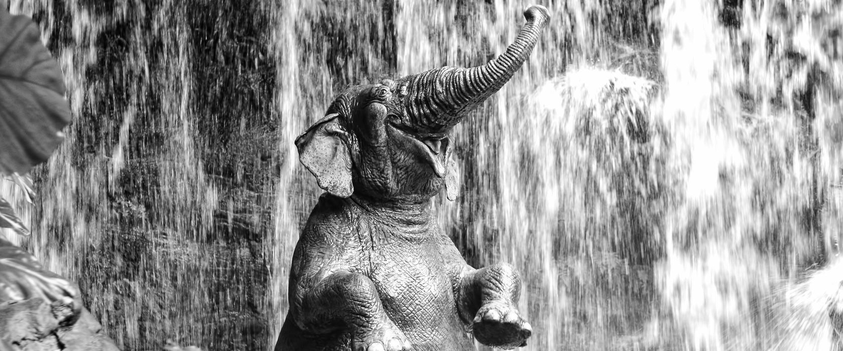 Babyelefant am Wasserfall, Glasbild Panorama