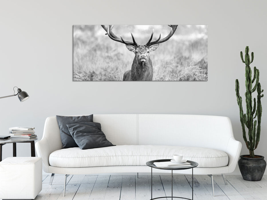 Großer Hirsch im Feld Kunst B&W, Glasbild Panorama