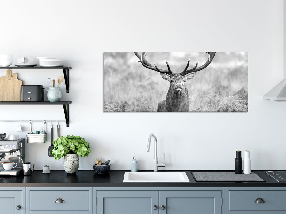 Großer Hirsch im Feld Kunst B&W, Glasbild Panorama