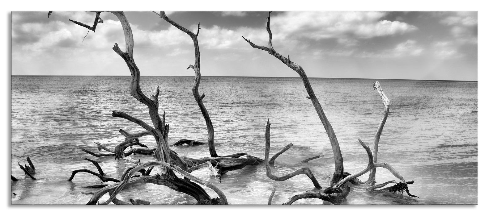 Pixxprint Strand Meer Havanna Kuba, Glasbild Panorama