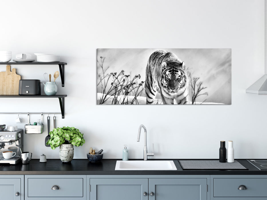 Tiger, Schnee, Glasbild Panorama