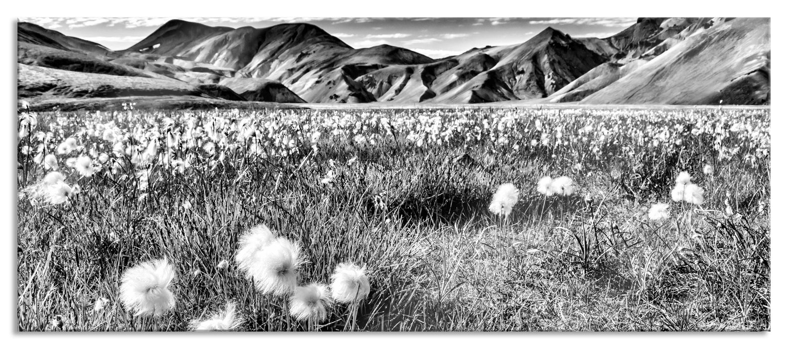 Pixxprint Alpenwiese, Glasbild Panorama