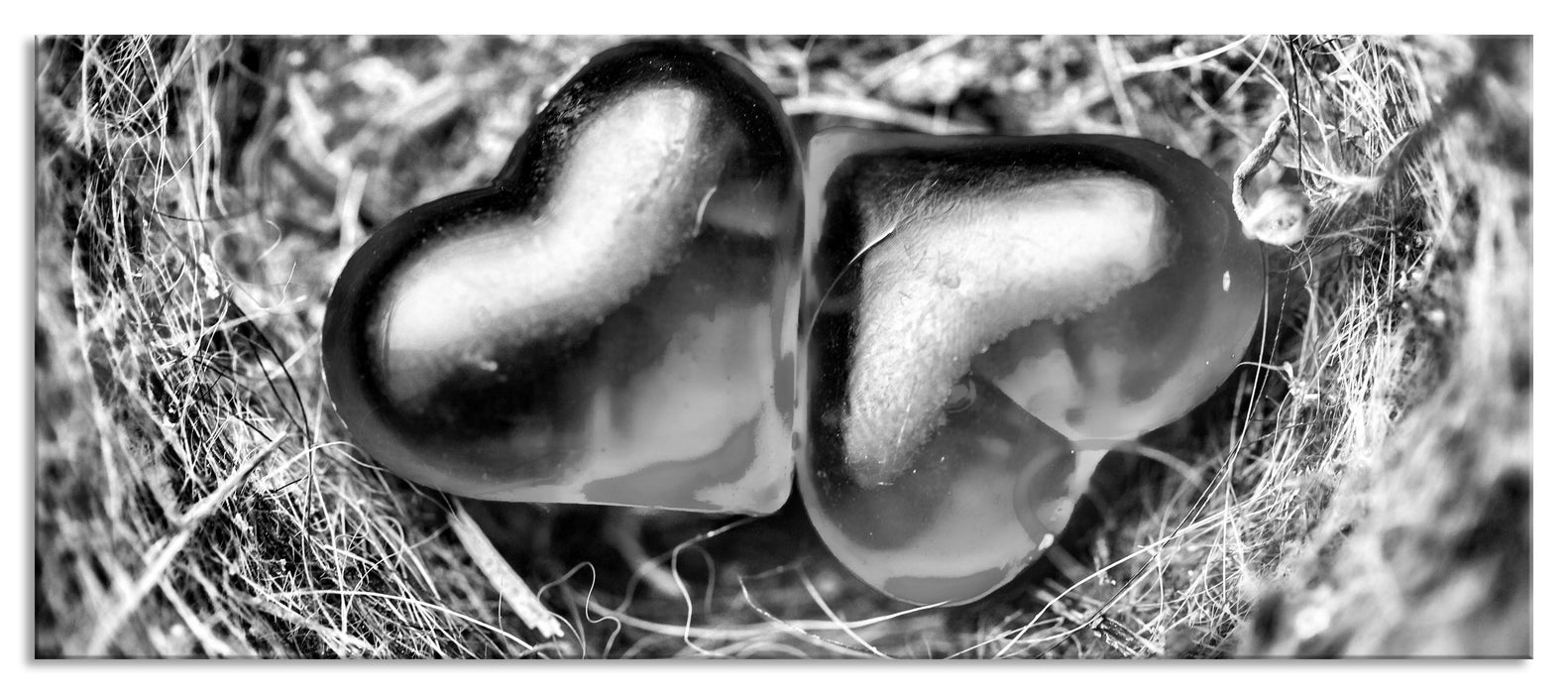 Pixxprint zwei Herzen, Glasbild Panorama