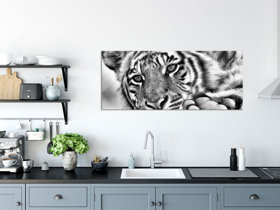 Tiger, Glasbild Panorama