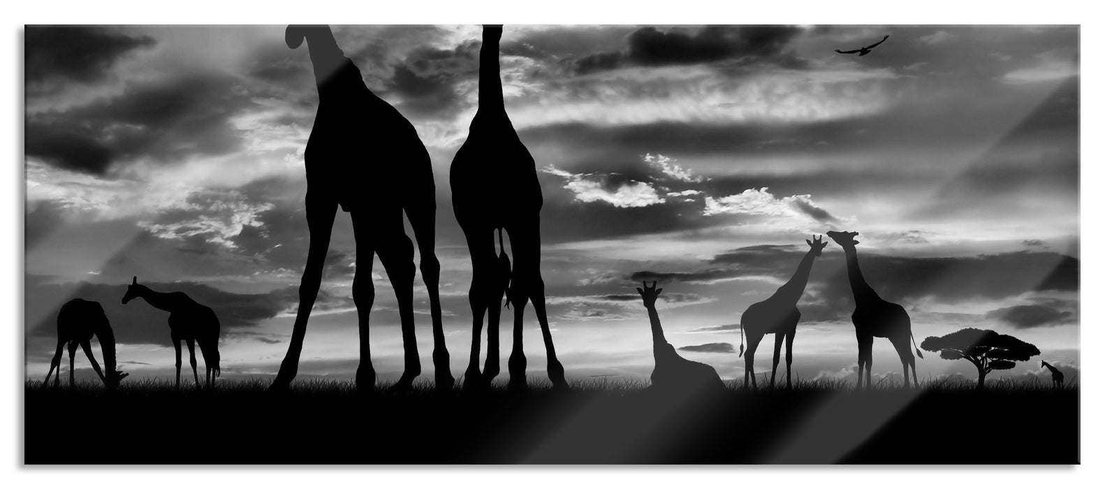 Pixxprint Afrika Giraffen im Sonnenuntergang, Glasbild Panorama