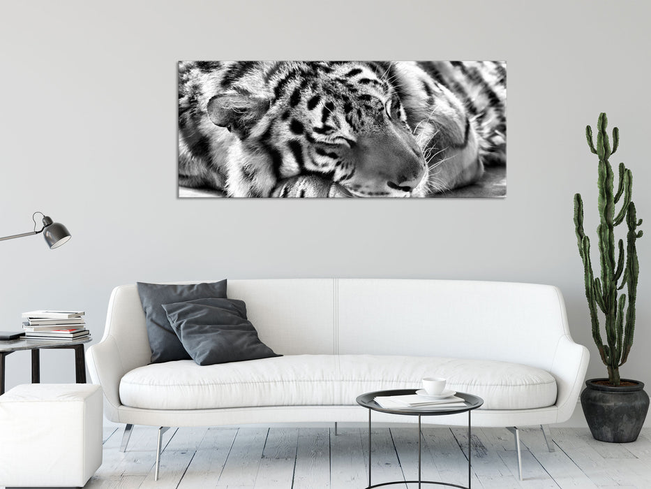 Verschlafener Tiger, Glasbild Panorama