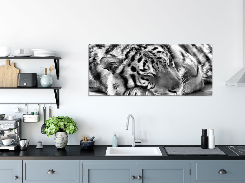 Verschlafener Tiger, Glasbild Panorama