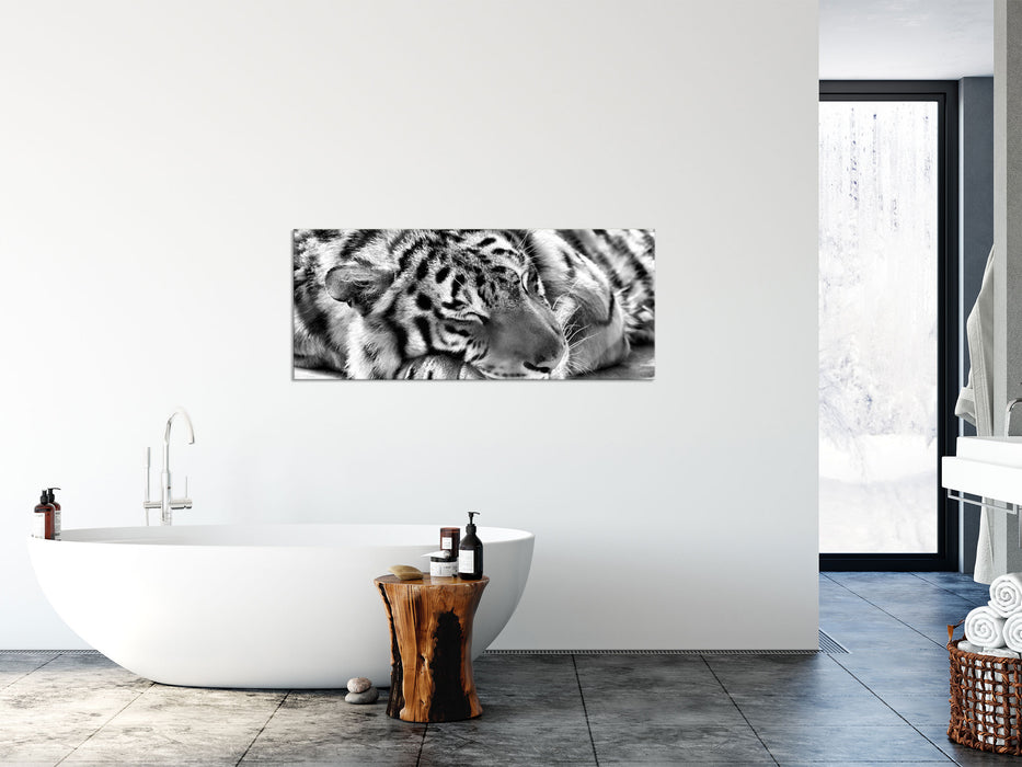 Verschlafener Tiger, Glasbild Panorama