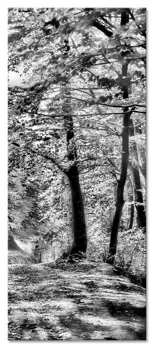 Pixxprint Wald im Herbst, Glasbild Panorama