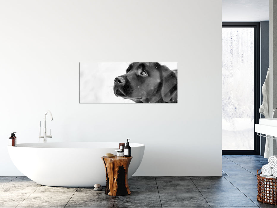 Schwarzer Labrador im Schnee, Glasbild Panorama