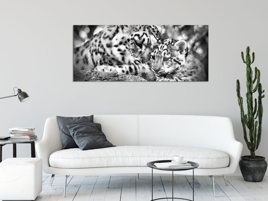 Leopard mit Jungtier, Glasbild Panorama