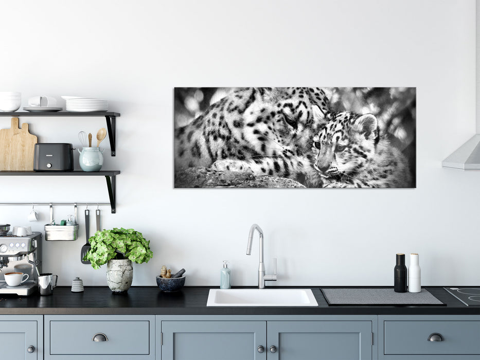 Leopard mit Jungtier, Glasbild Panorama