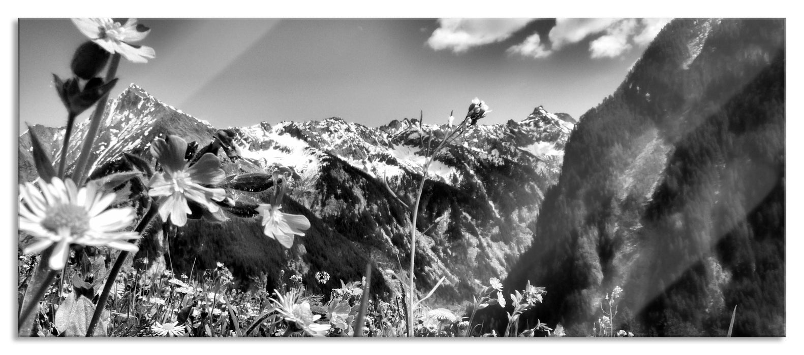 Pixxprint Wunderschöne Blumen Alpenwiese, Glasbild Panorama