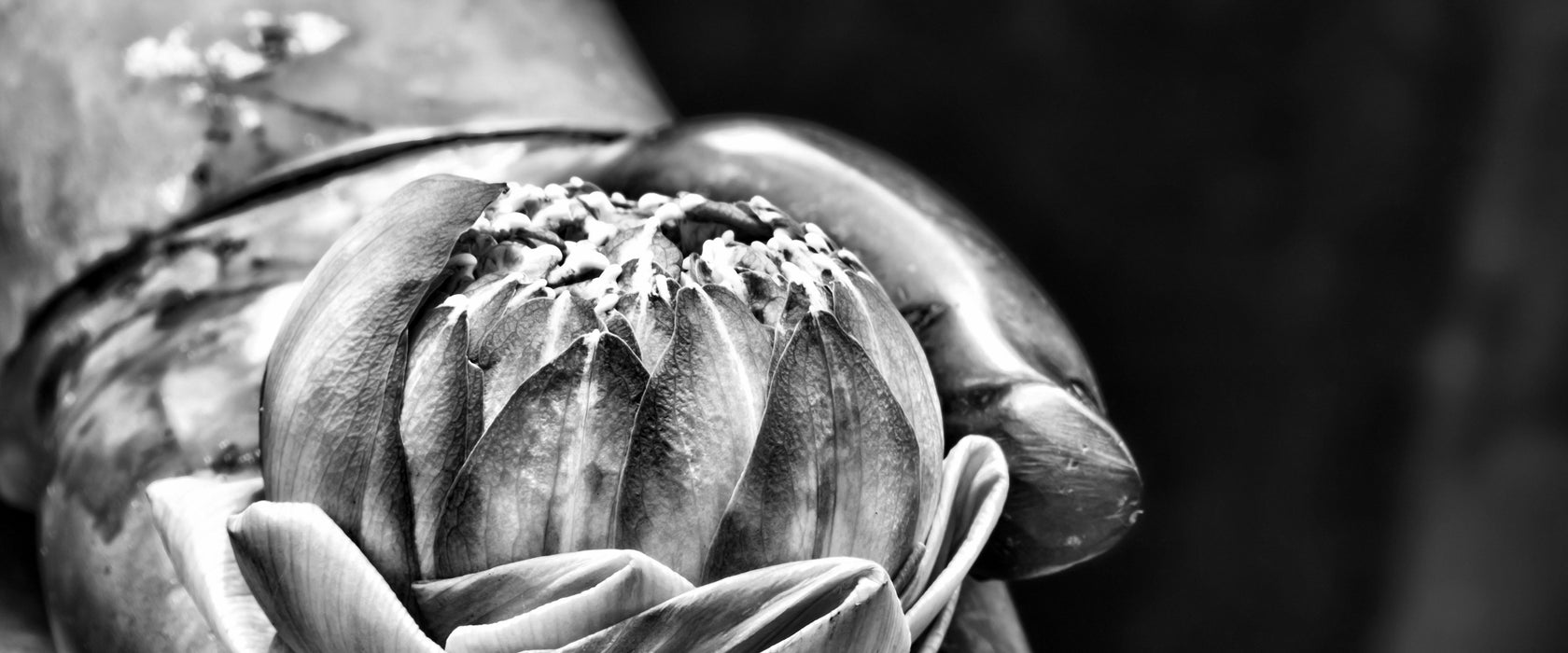 Lotus auf der Hand eines Buddhas, Glasbild Panorama