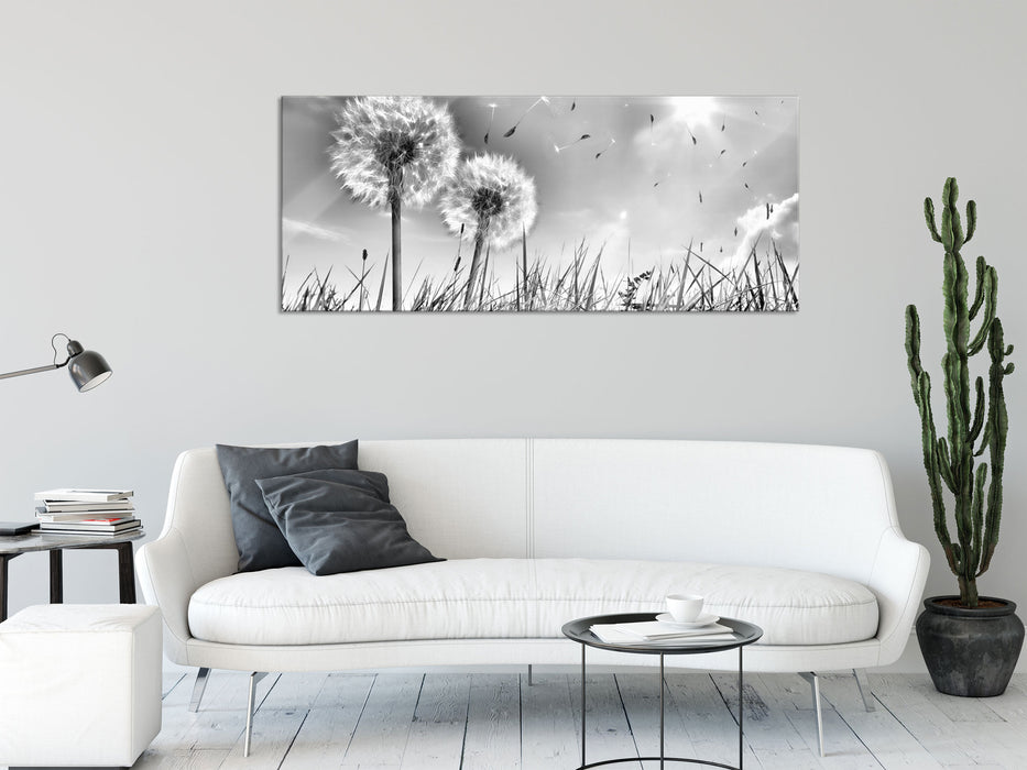 Pusteblumen auf Frühlingswiese, Glasbild Panorama