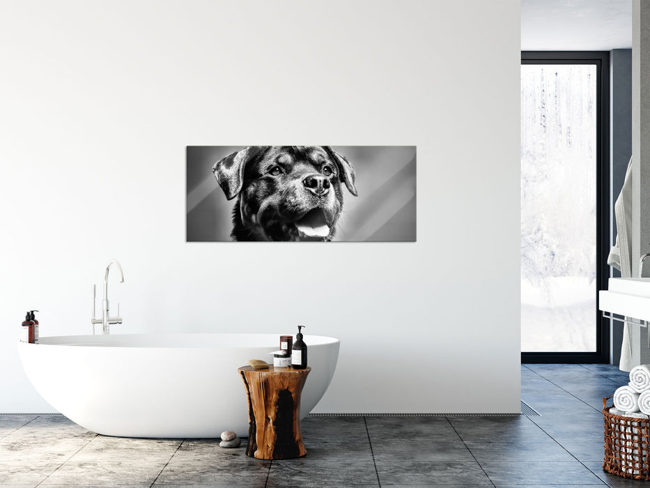 Treuer Rottweiler, Glasbild Panorama