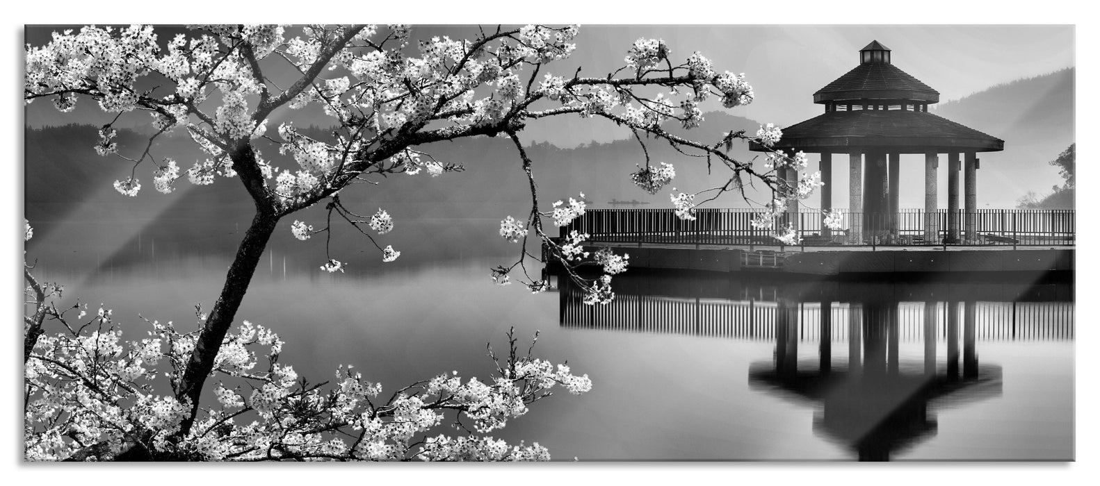 Pixxprint Kirschbaum an See, Glasbild Panorama