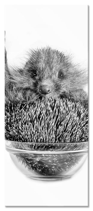 Pixxprint Igel in einer Schüssel Peace, Glasbild Panorama