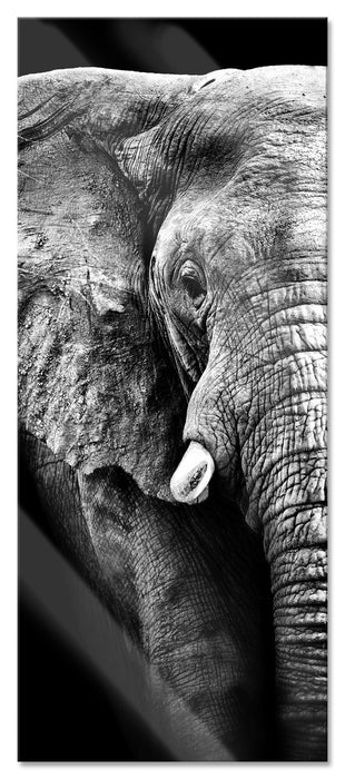 Pixxprint Elefant Porträt, Glasbild Panorama