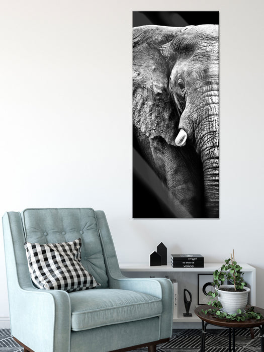 Elefant Porträt, Glasbild Panorama