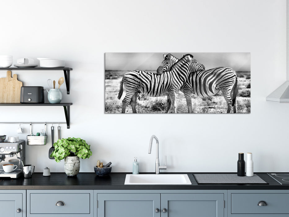 Schmusende Zebras, Glasbild Panorama