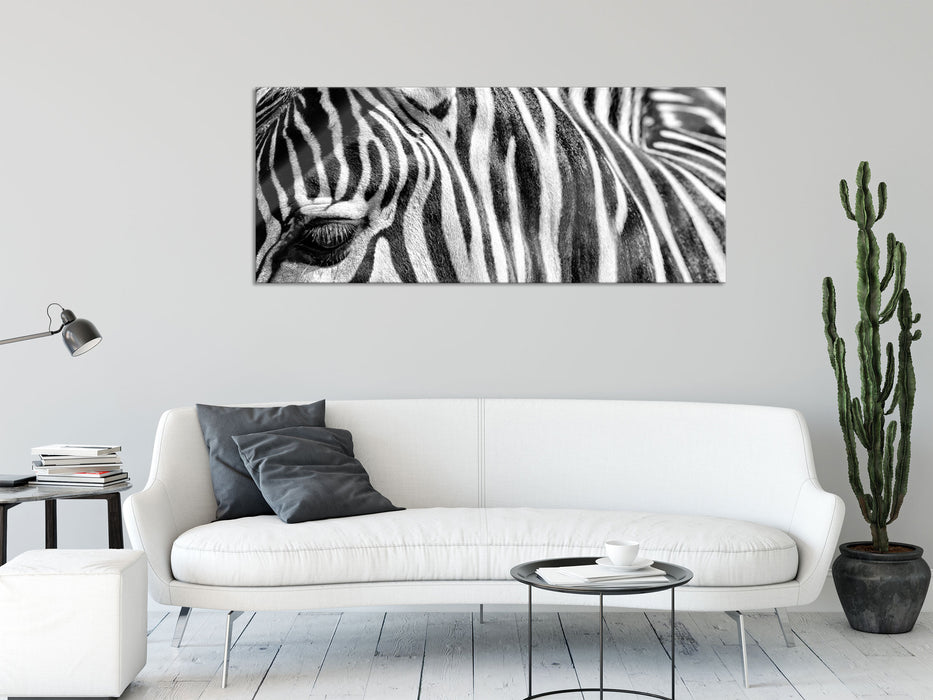 Zebra Porträt, Glasbild Panorama